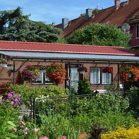 Bungalow Weidling Hasselfelde Dış mekan fotoğraf