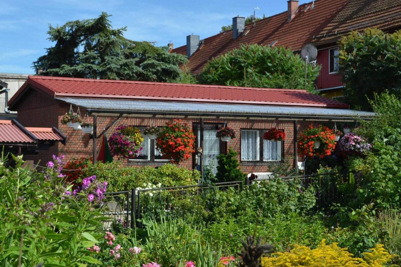 Bungalow Weidling Hasselfelde Dış mekan fotoğraf